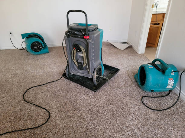 Best Residential water damage restoration  in Woodland Heights, PA