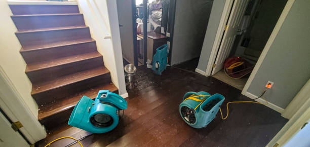 Best Sewage cleanup and water damage restoration  in Woodland Heights, PA