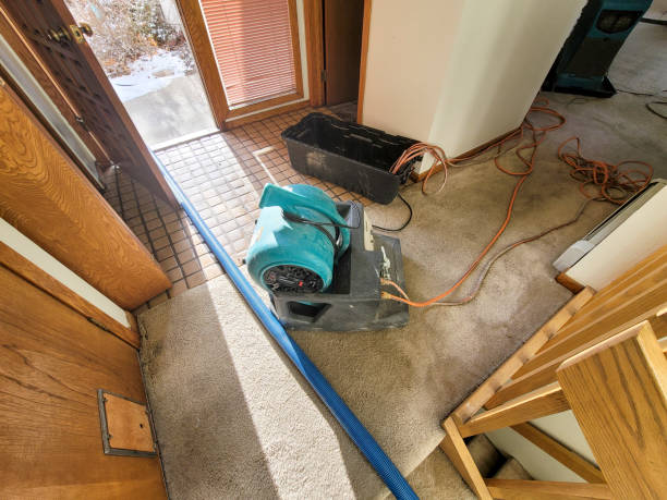 Water damage restoration mold remediation in Woodland Heights, PA