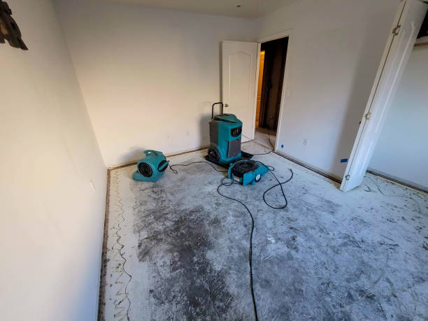 Best Professional water damage repair  in Woodland Heights, PA