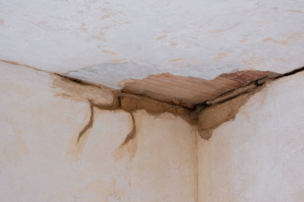 Water damage restoration experts in Woodland Heights, PA