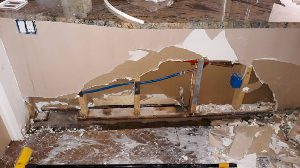 Best Flooded house restoration  in Woodland Heights, PA
