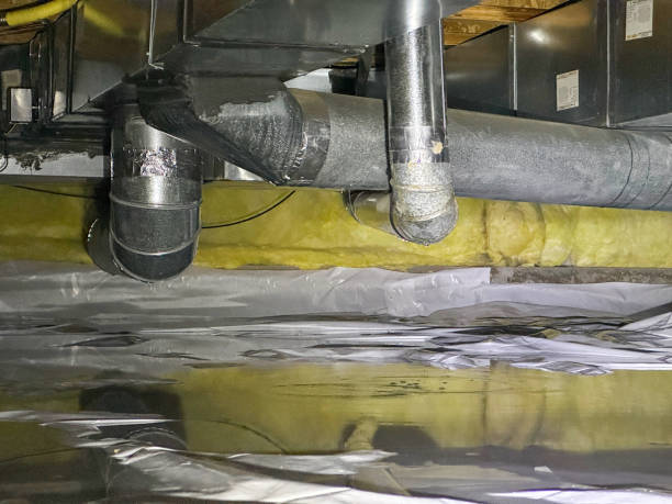 Trusted Woodland Heights, PA Water damage restoration Experts